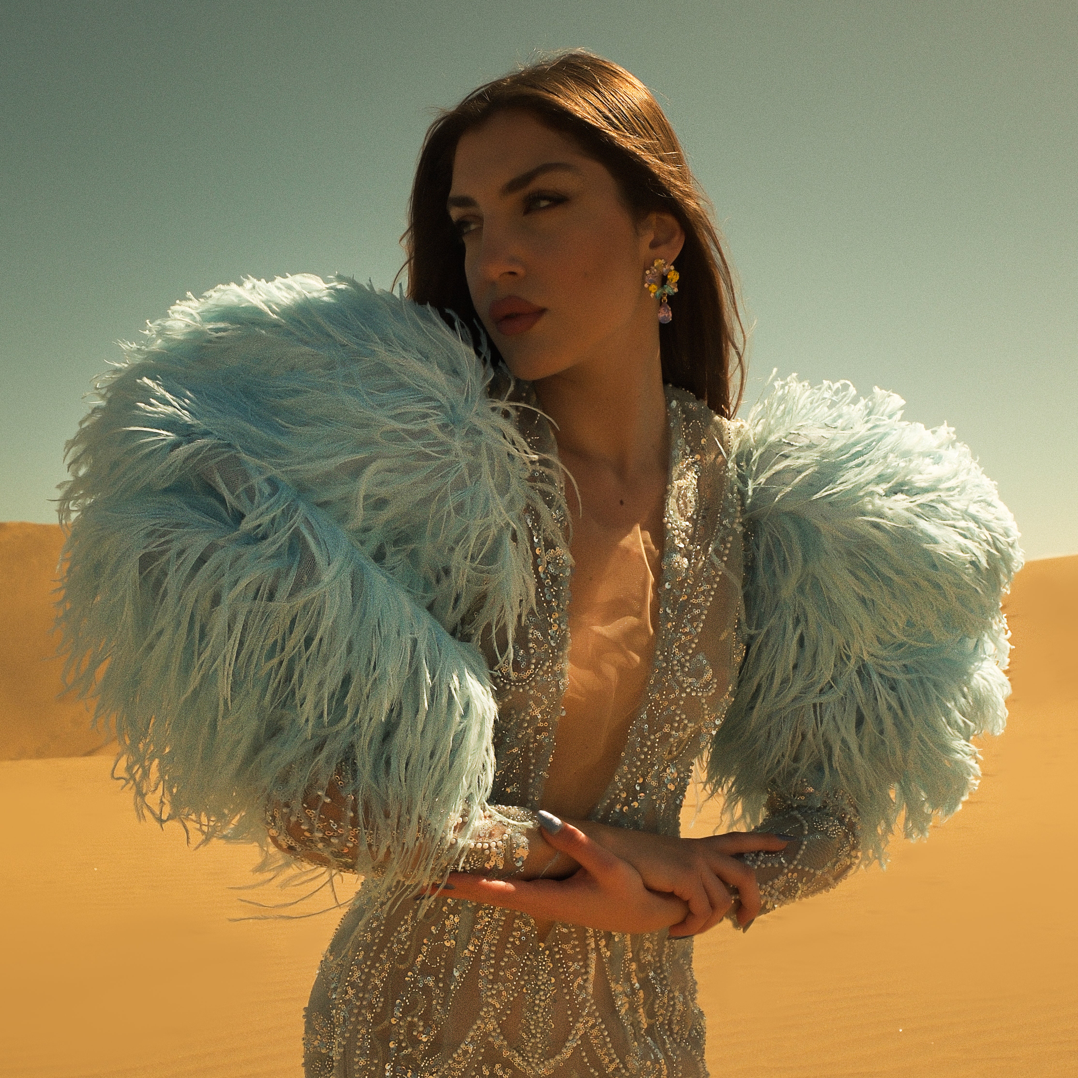 Swarovski pendant earrings