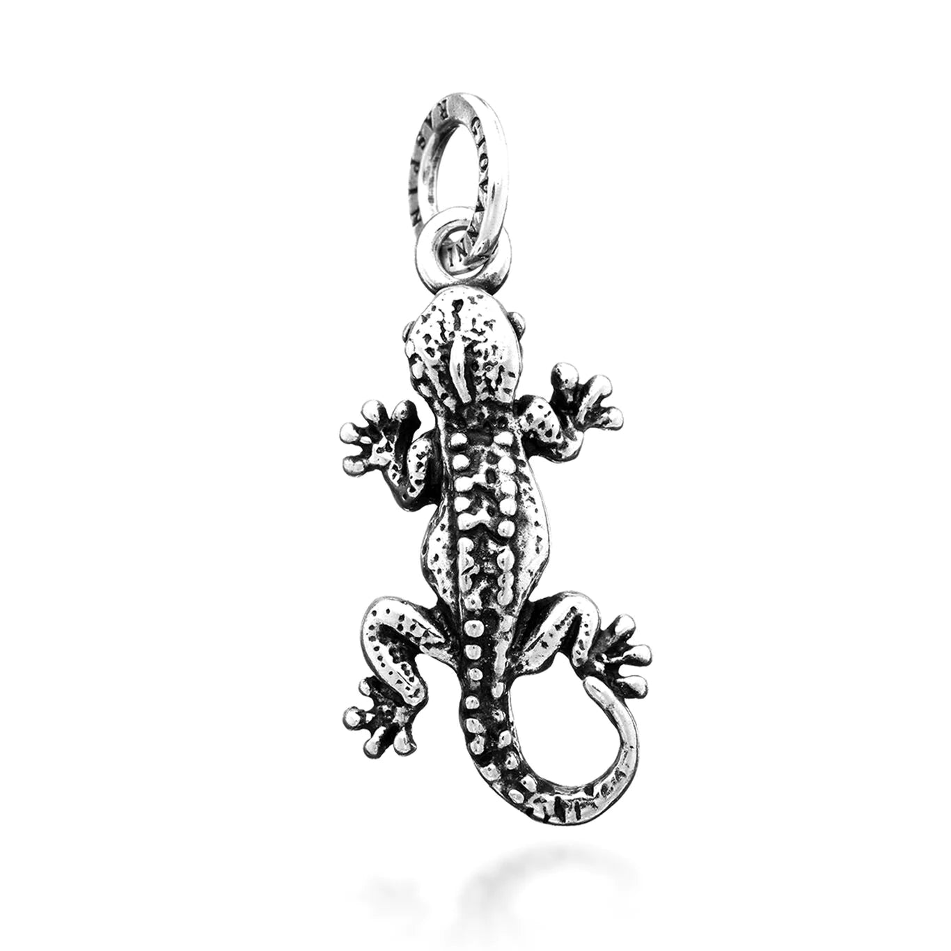 Charms Animali