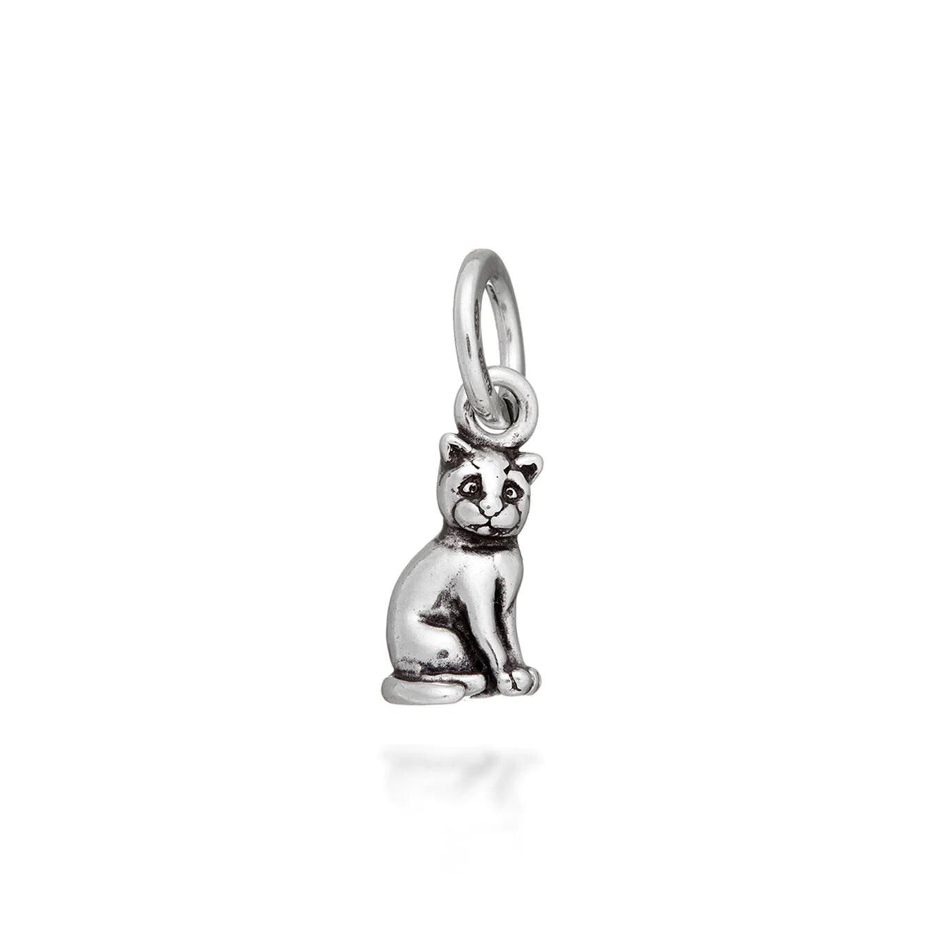 Charms Animali