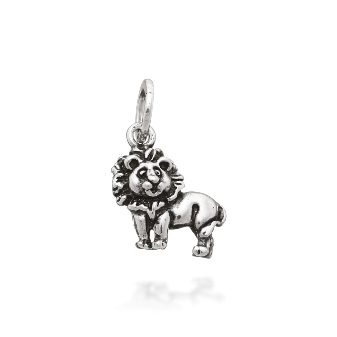 Charms Animali
