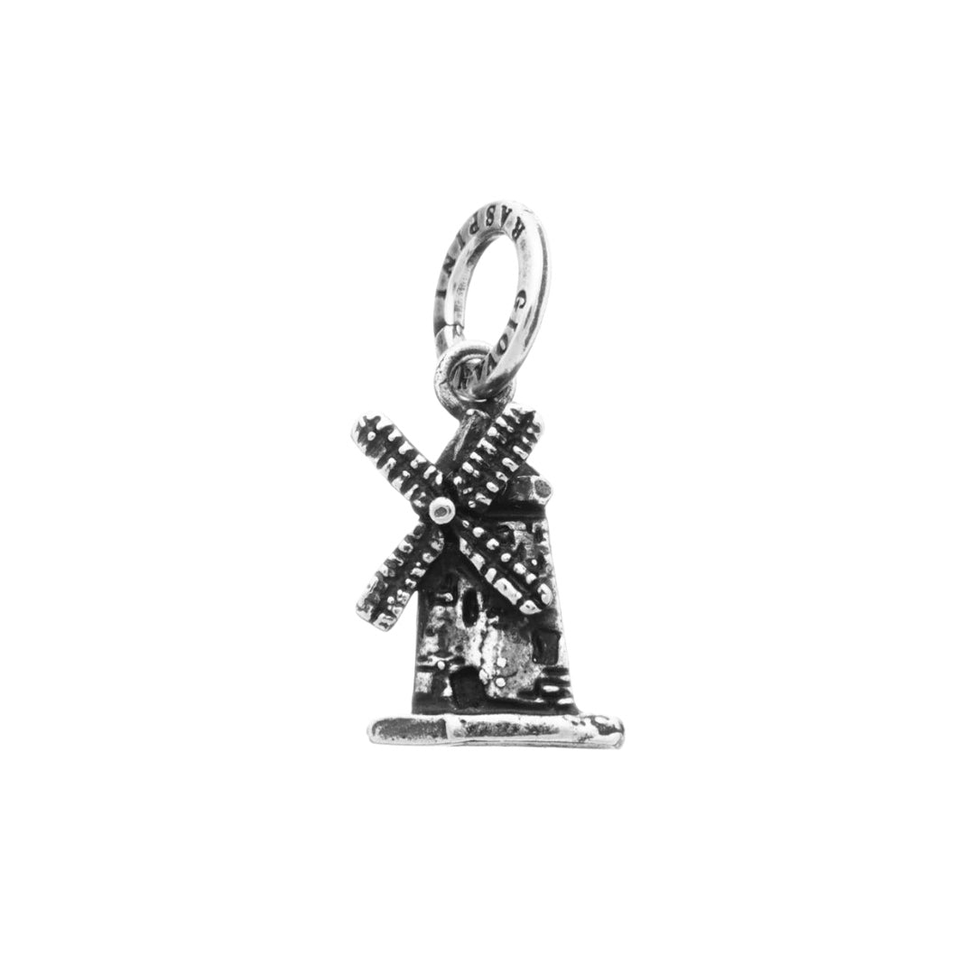 Beetle charm