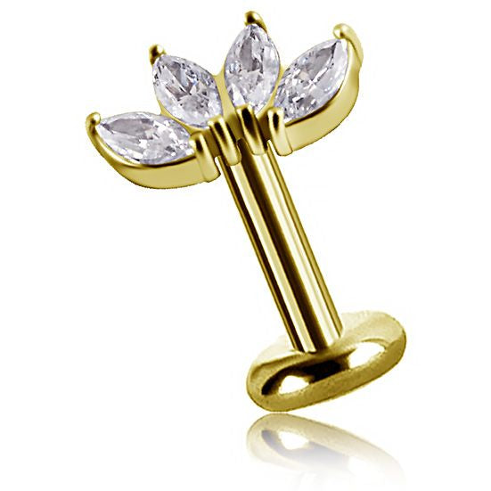 Piercing Four Spring
