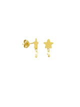 Orecchini pearl star