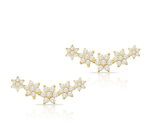 Five Stars Earrings