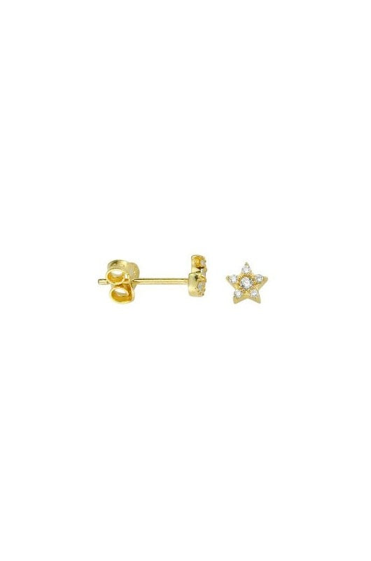 Orecchini Stelle Luxury S