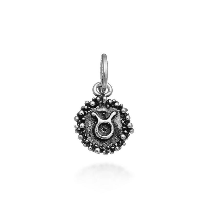 Charm Toro