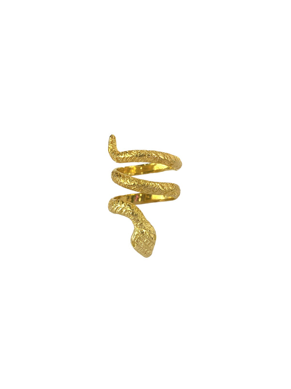 Anello Snake