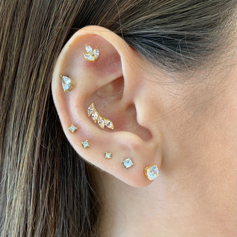 Piercing Leaves