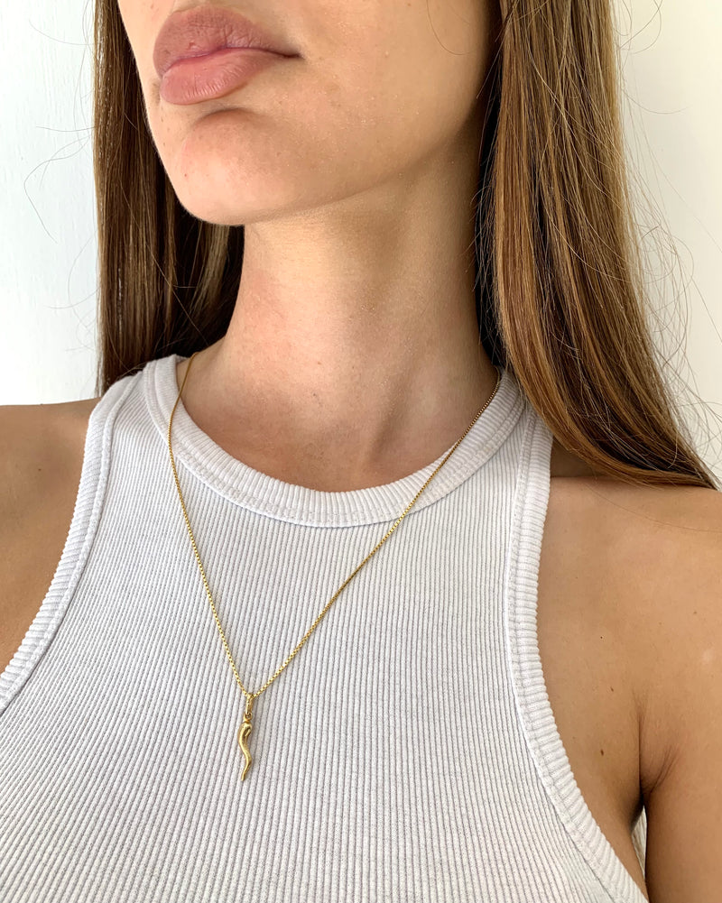 Necklace with gold horn